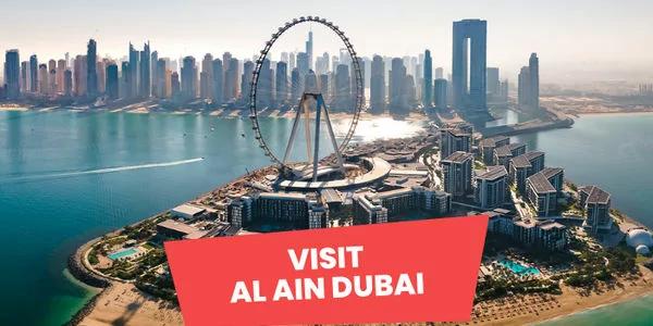 A Day Out in Al Ain - Where to Go & What to See!-3814